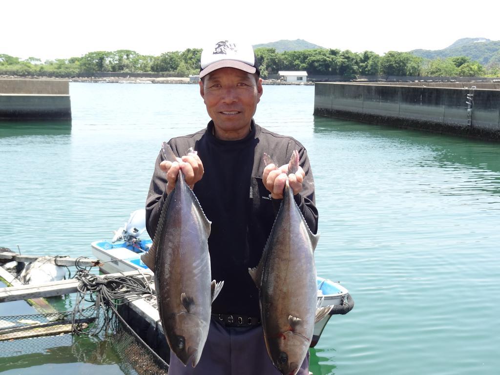 ホテル 土佐龍温泉 三陽荘 土佐市 エクステリア 写真